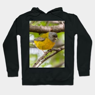 Bird life in Patagonia. Hoodie